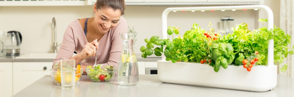 Smart Garden to #MistrzowieeCommerce. Uprawianie roślin w domu z użyciem nowych technologii.