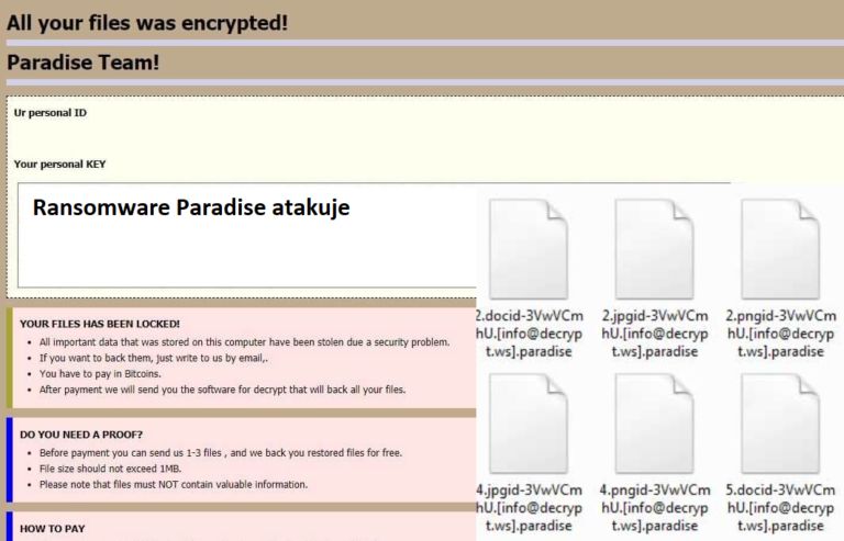 Ransomware Paradise: jak odzyskać zaszyfrowane pliki, dzięki narzędziu deszyfrującemu?