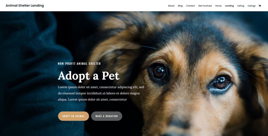 Motyw do WordPressa - schronisko dla zwierząt