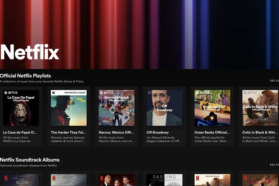 Netflix Hub w Spotify