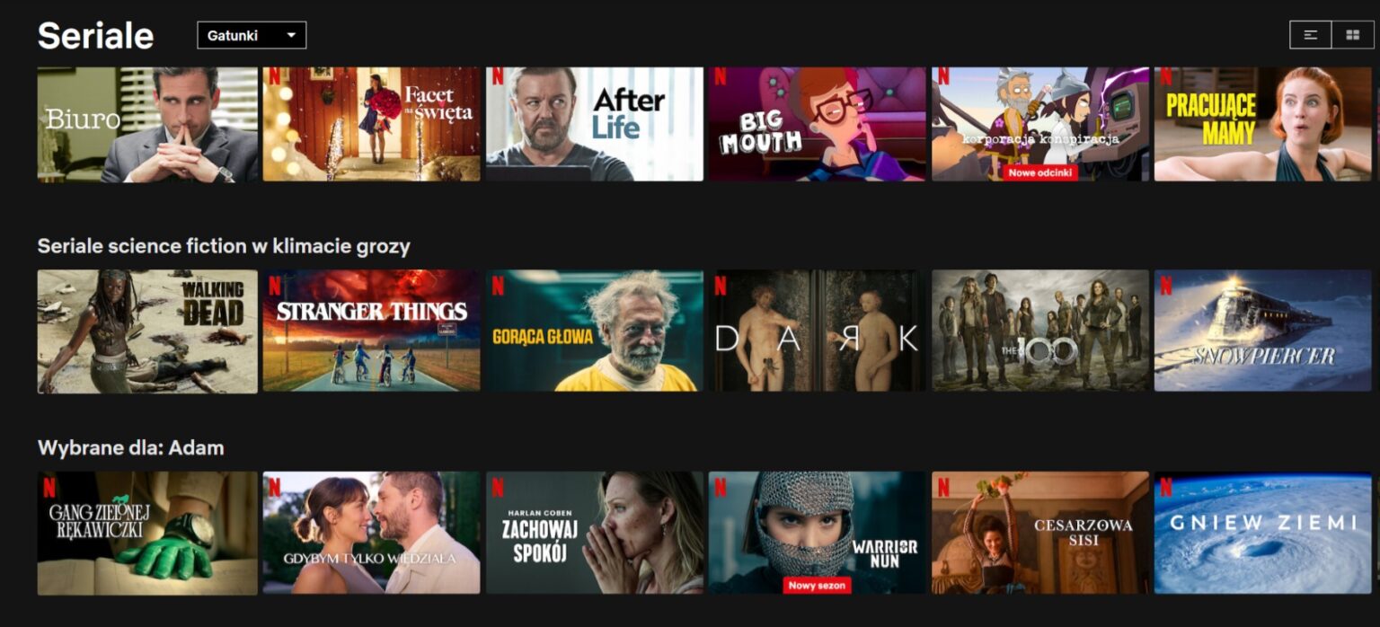 Polecane seriale na Netflix do obejrzenia w 2023 roku